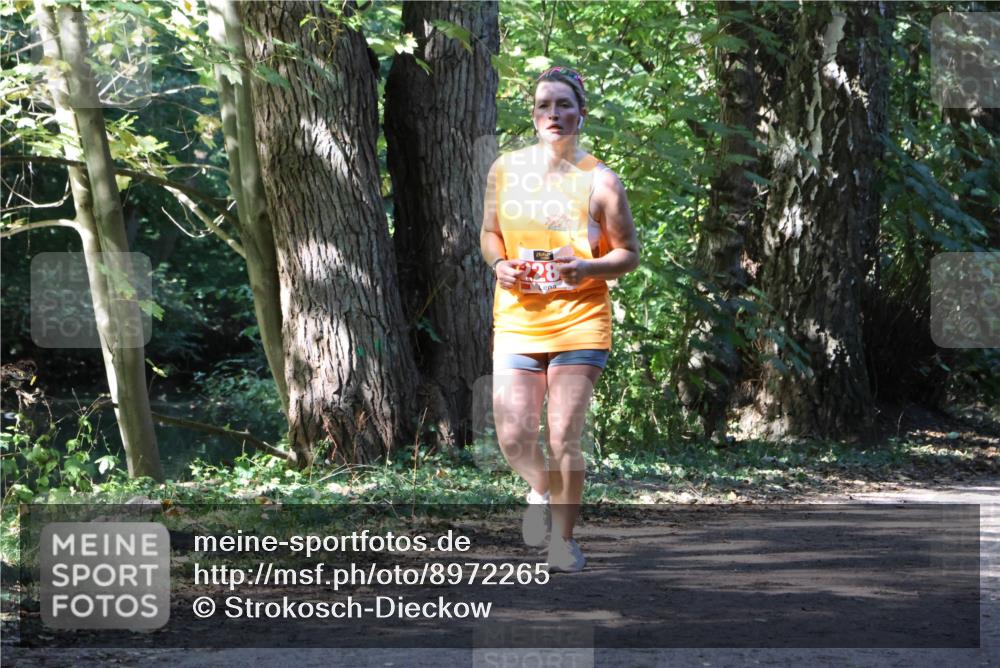 28.09.2025 - 33. Volkslauf durch das schöne Alstertal Strokosch-Dieckow http://msf.ph/oto/8972265 28.09.2025 12:32:38 Laufen 228 meine-sportfotos.de