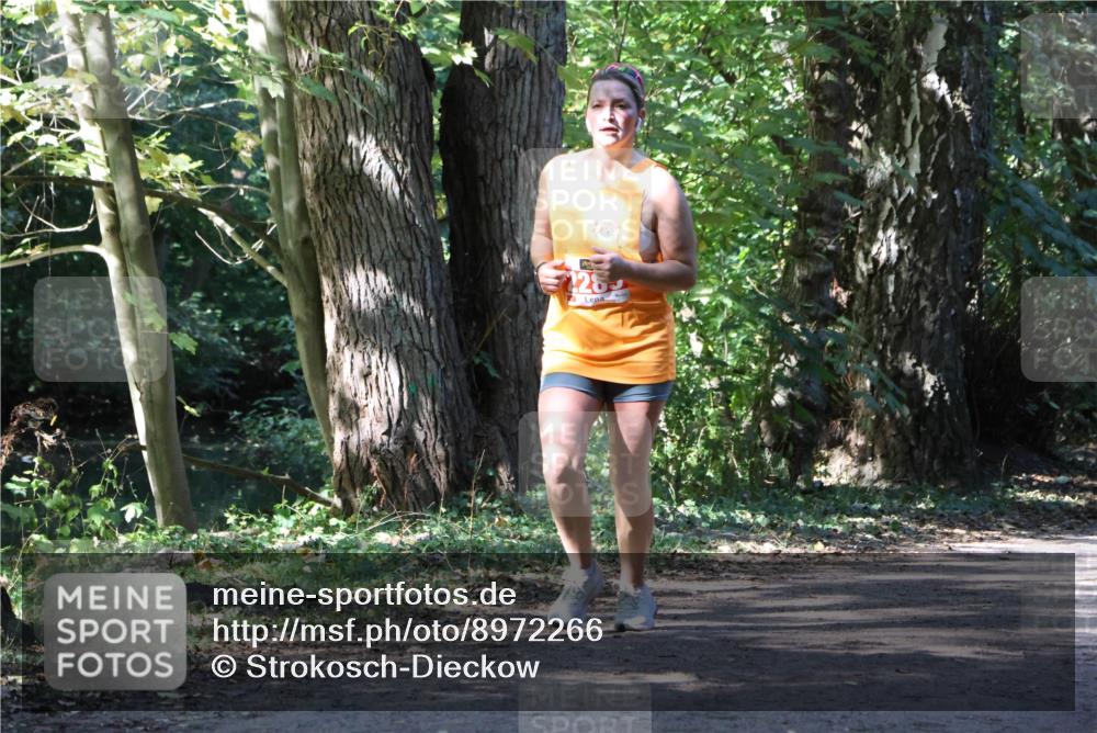 28.09.2025 - 33. Volkslauf durch das schöne Alstertal Strokosch-Dieckow http://msf.ph/oto/8972266 28.09.2025 12:32:39 Laufen 128 meine-sportfotos.de