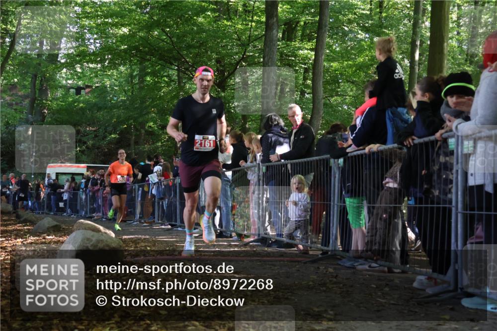 28.09.2025 - 33. Volkslauf durch das schöne Alstertal Strokosch-Dieckow http://msf.ph/oto/8972268 28.09.2025 11:55:01 Ziel 1647, 2161, 2406 meine-sportfotos.de