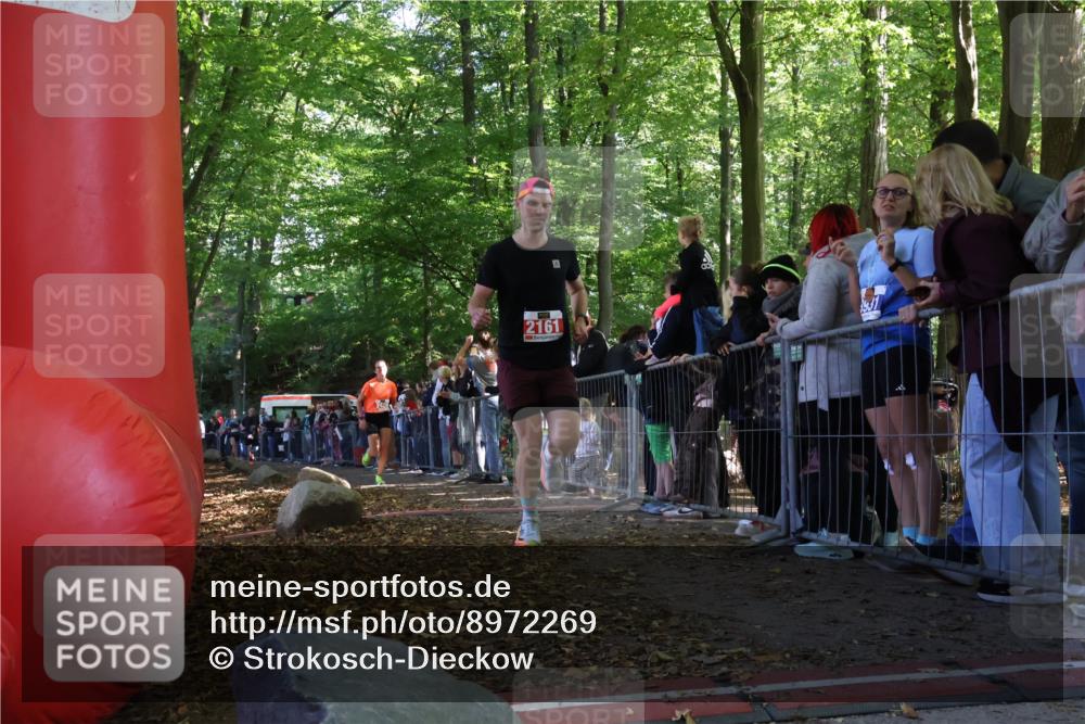 28.09.2025 - 33. Volkslauf durch das schöne Alstertal Strokosch-Dieckow http://msf.ph/oto/8972269 28.09.2025 11:55:02 Ziel 1119, 1647, 2161, 2406 meine-sportfotos.de