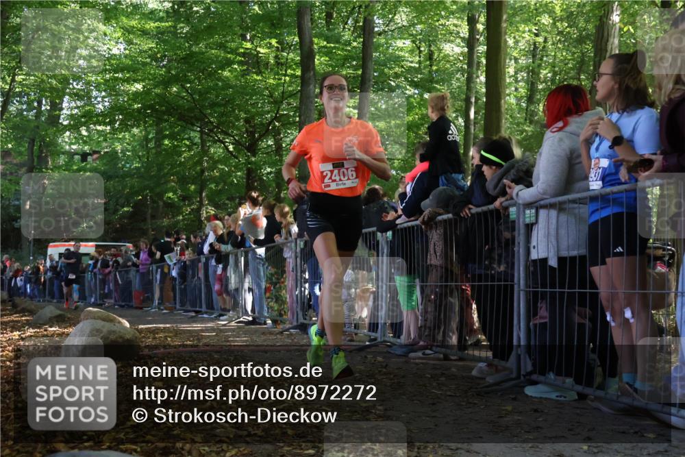 28.09.2025 - 33. Volkslauf durch das schöne Alstertal Strokosch-Dieckow http://msf.ph/oto/8972272 28.09.2025 11:55:04 Ziel 1119, 1609, 1647, 2406 meine-sportfotos.de