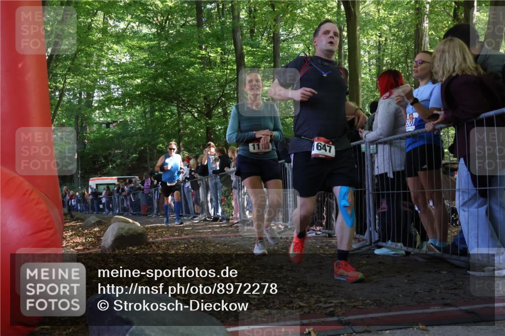 28.09.2025 - 33. Volkslauf durch das schöne Alstertal Strokosch-Dieckow http://msf.ph/oto/8972278 28.09.2025 11:55:11 Ziel 1119, 1609, 1647, 1741 meine-sportfotos.de