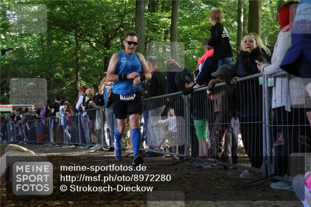 28.09.2025 - 33. Volkslauf durch das schöne Alstertal Strokosch-Dieckow http://msf.ph/oto/8972280 28.09.2025 11:55:12 Ziel 1119, 1609, 1741 meine-sportfotos.de