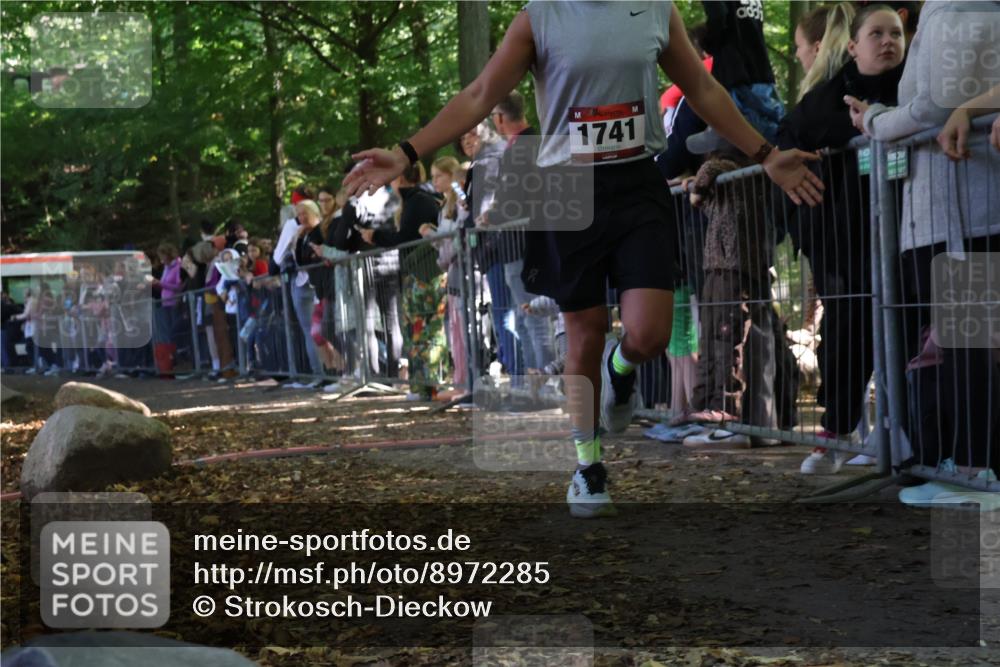 28.09.2025 - 33. Volkslauf durch das schöne Alstertal Strokosch-Dieckow http://msf.ph/oto/8972285 28.09.2025 11:55:20 Ziel 1741 meine-sportfotos.de