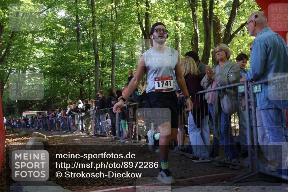 28.09.2025 - 33. Volkslauf durch das schöne Alstertal Strokosch-Dieckow http://msf.ph/oto/8972286 28.09.2025 11:55:20 Ziel 1741 meine-sportfotos.de