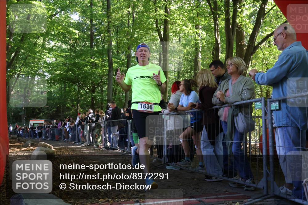 28.09.2025 - 33. Volkslauf durch das schöne Alstertal Strokosch-Dieckow http://msf.ph/oto/8972291 28.09.2025 11:55:31 Ziel 1125, 1636, 1799 meine-sportfotos.de