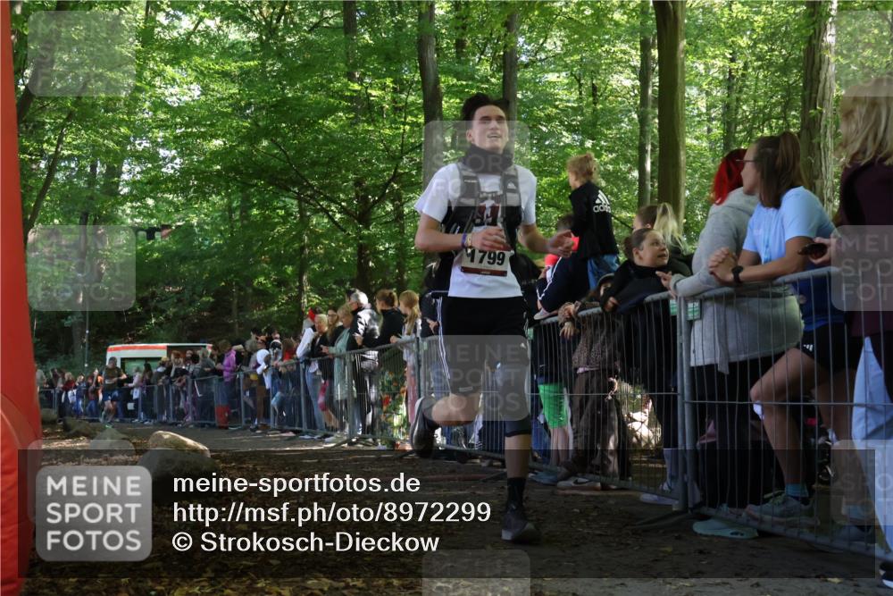 28.09.2025 - 33. Volkslauf durch das schöne Alstertal Strokosch-Dieckow http://msf.ph/oto/8972299 28.09.2025 11:55:41 Ziel 1608, 1799 meine-sportfotos.de