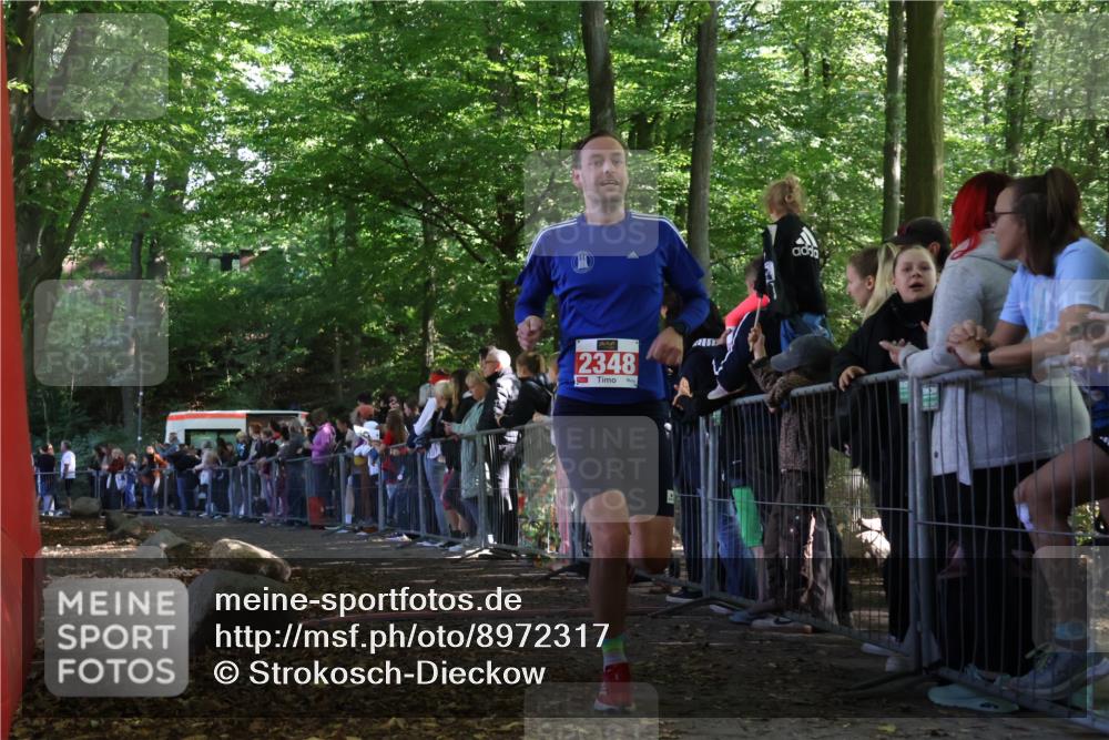28.09.2025 - 33. Volkslauf durch das schöne Alstertal Strokosch-Dieckow http://msf.ph/oto/8972317 28.09.2025 11:55:58 Ziel 1612, 1639, 2348 meine-sportfotos.de