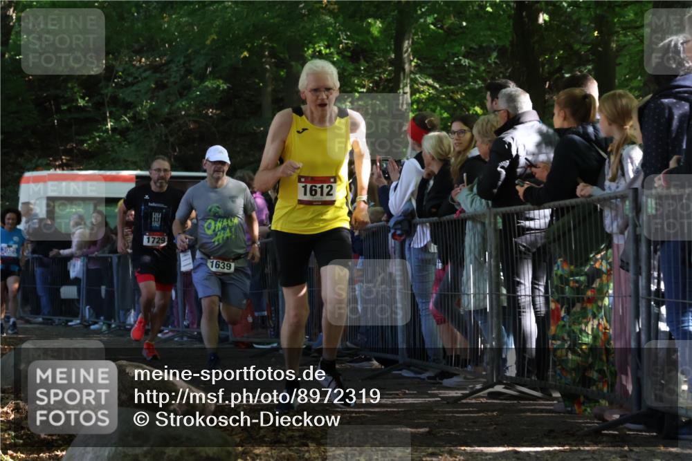 28.09.2025 - 33. Volkslauf durch das schöne Alstertal Strokosch-Dieckow http://msf.ph/oto/8972319 28.09.2025 11:56:05 Ziel 1612, 1639, 1729 meine-sportfotos.de