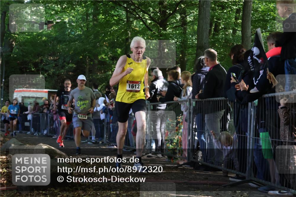 28.09.2025 - 33. Volkslauf durch das schöne Alstertal Strokosch-Dieckow http://msf.ph/oto/8972320 28.09.2025 11:56:05 Ziel 1612, 1639, 1729 meine-sportfotos.de