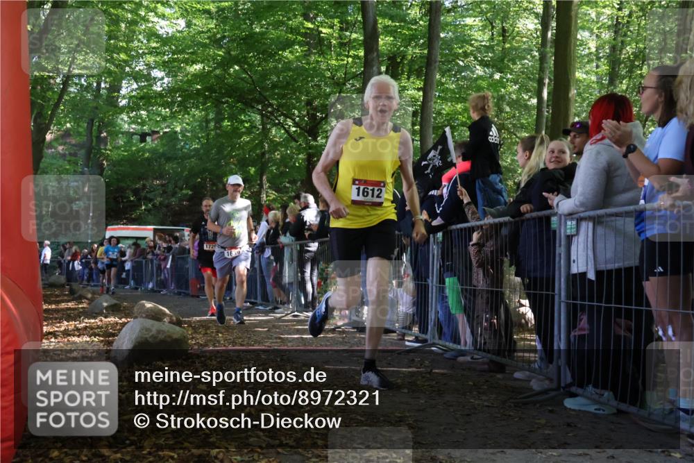 28.09.2025 - 33. Volkslauf durch das schöne Alstertal Strokosch-Dieckow http://msf.ph/oto/8972321 28.09.2025 11:56:06 Ziel 1612, 1625, 1639, 1729 meine-sportfotos.de