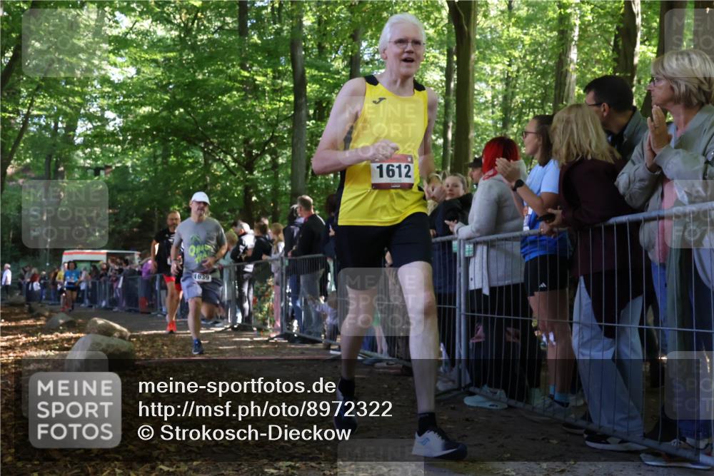 28.09.2025 - 33. Volkslauf durch das schöne Alstertal Strokosch-Dieckow http://msf.ph/oto/8972322 28.09.2025 11:56:07 Ziel 1612, 1625, 1639, 1729, 3084, 3085 meine-sportfotos.de
