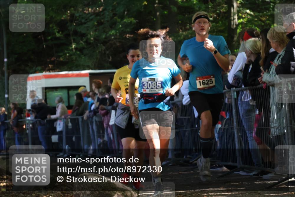 28.09.2025 - 33. Volkslauf durch das schöne Alstertal Strokosch-Dieckow http://msf.ph/oto/8972330 28.09.2025 11:56:13 Ziel 1625, 1653, 3084, 3085 meine-sportfotos.de
