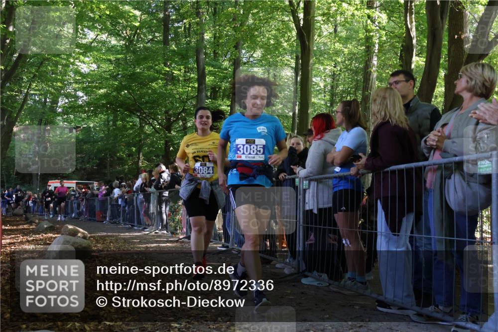 28.09.2025 - 33. Volkslauf durch das schöne Alstertal Strokosch-Dieckow http://msf.ph/oto/8972336 28.09.2025 11:56:17 Ziel 1653, 1770, 2475, 3084, 3085 meine-sportfotos.de