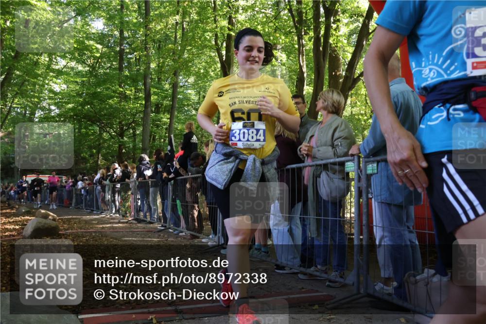 28.09.2025 - 33. Volkslauf durch das schöne Alstertal Strokosch-Dieckow http://msf.ph/oto/8972338 28.09.2025 11:56:19 Ziel 1653, 1770, 2475 meine-sportfotos.de