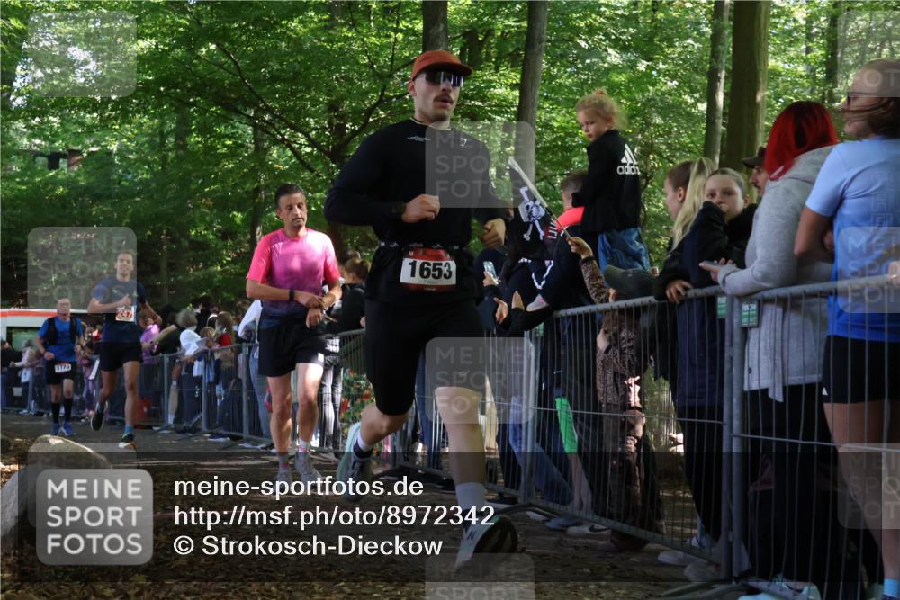 28.09.2025 - 33. Volkslauf durch das schöne Alstertal Strokosch-Dieckow http://msf.ph/oto/8972342 28.09.2025 11:56:22 Ziel 1653, 1665, 1770, 2475 meine-sportfotos.de