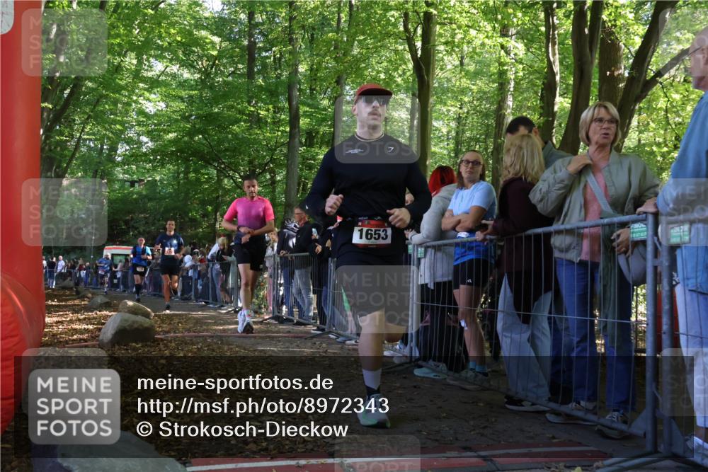 28.09.2025 - 33. Volkslauf durch das schöne Alstertal Strokosch-Dieckow http://msf.ph/oto/8972343 28.09.2025 11:56:23 Ziel 1653, 1665, 1770, 2475 meine-sportfotos.de