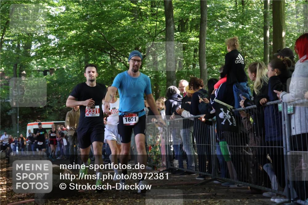 28.09.2025 - 33. Volkslauf durch das schöne Alstertal Strokosch-Dieckow http://msf.ph/oto/8972381 28.09.2025 11:57:20 Ziel 1018, 1019, 1621, 1663, 2331, 2358, 2405, 2560 meine-sportfotos.de