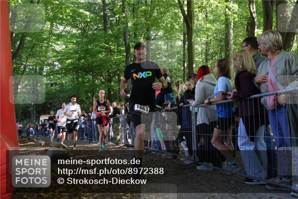 28.09.2025 - 33. Volkslauf durch das schöne Alstertal Strokosch-Dieckow http://msf.ph/oto/8972388 28.09.2025 11:57:26 Ziel 1018, 1019, 1663, 2358, 2560 meine-sportfotos.de