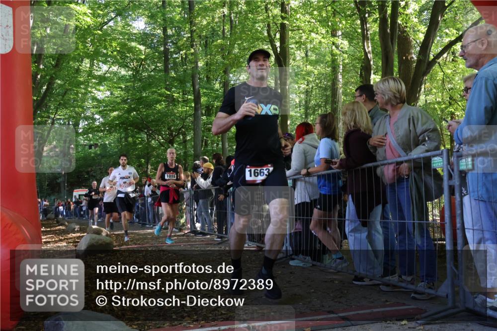 28.09.2025 - 33. Volkslauf durch das schöne Alstertal Strokosch-Dieckow http://msf.ph/oto/8972389 28.09.2025 11:57:26 Ziel 1018, 1019, 1663, 2358, 2560 meine-sportfotos.de