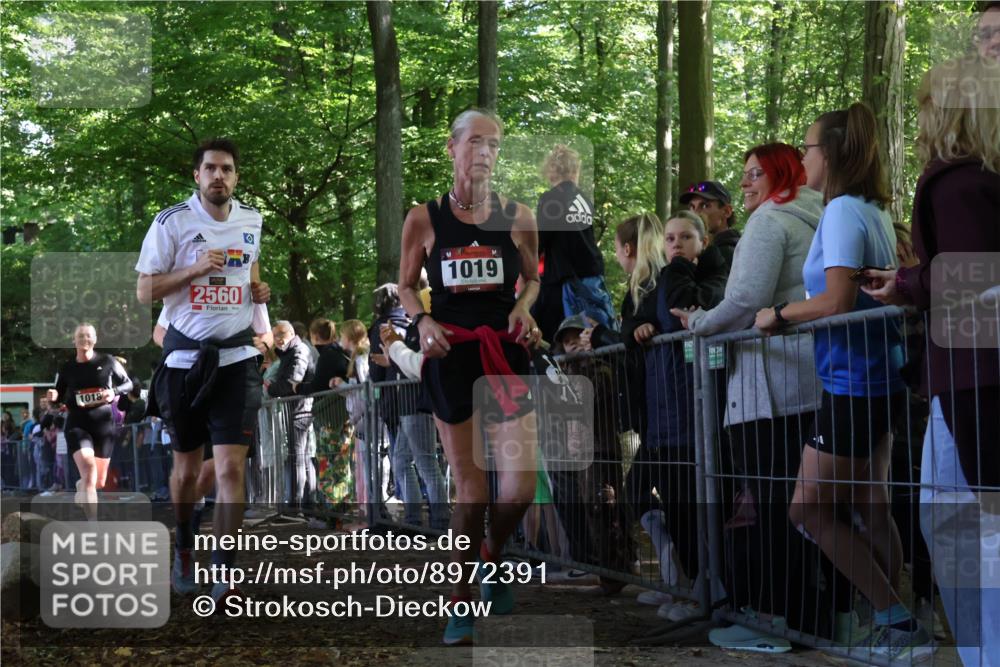 28.09.2025 - 33. Volkslauf durch das schöne Alstertal Strokosch-Dieckow http://msf.ph/oto/8972391 28.09.2025 11:57:27 Ziel 1018, 1019, 2358, 2560 meine-sportfotos.de