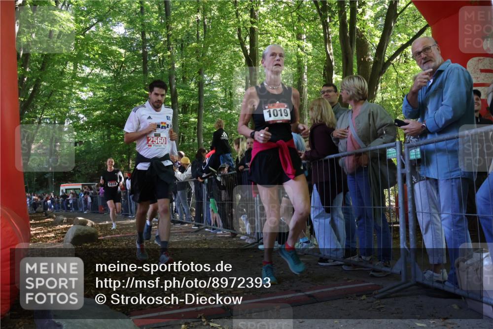 28.09.2025 - 33. Volkslauf durch das schöne Alstertal Strokosch-Dieckow http://msf.ph/oto/8972393 28.09.2025 11:57:28 Ziel 1018, 1019, 2358, 2560 meine-sportfotos.de