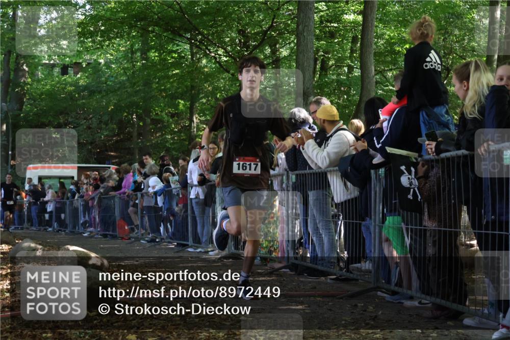 28.09.2025 - 33. Volkslauf durch das schöne Alstertal Strokosch-Dieckow http://msf.ph/oto/8972449 28.09.2025 11:58:35 Ziel 1617, 1812 meine-sportfotos.de