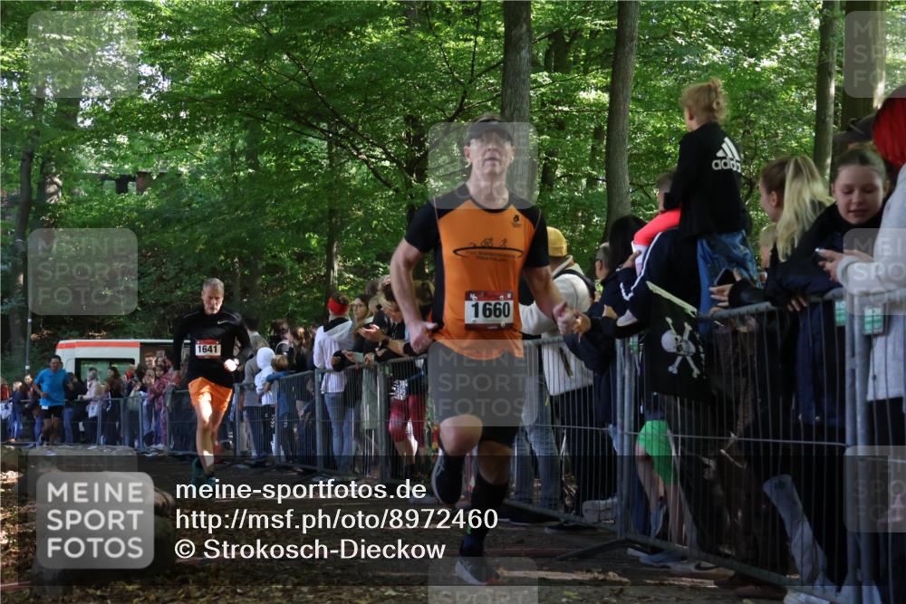 28.09.2025 - 33. Volkslauf durch das schöne Alstertal Strokosch-Dieckow http://msf.ph/oto/8972460 28.09.2025 11:58:57 Ziel 1641, 1660, 2460, 2636 meine-sportfotos.de