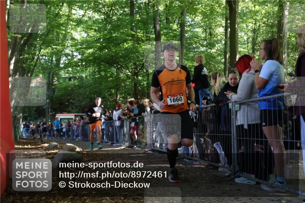 28.09.2025 - 33. Volkslauf durch das schöne Alstertal Strokosch-Dieckow http://msf.ph/oto/8972461 28.09.2025 11:58:57 Ziel 1641, 1660, 2460, 2636 meine-sportfotos.de