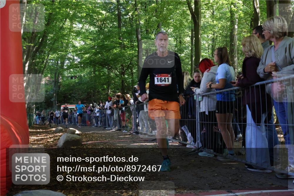 28.09.2025 - 33. Volkslauf durch das schöne Alstertal Strokosch-Dieckow http://msf.ph/oto/8972467 28.09.2025 11:59:00 Ziel 1022, 1641, 1670, 1708, 2460, 2636 meine-sportfotos.de