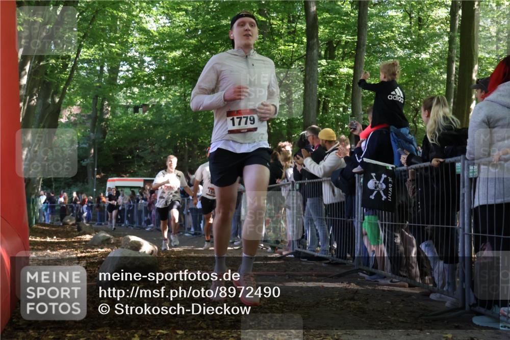 28.09.2025 - 33. Volkslauf durch das schöne Alstertal Strokosch-Dieckow http://msf.ph/oto/8972490 28.09.2025 11:59:18 Ziel 1024, 1591, 1779, 2515 meine-sportfotos.de