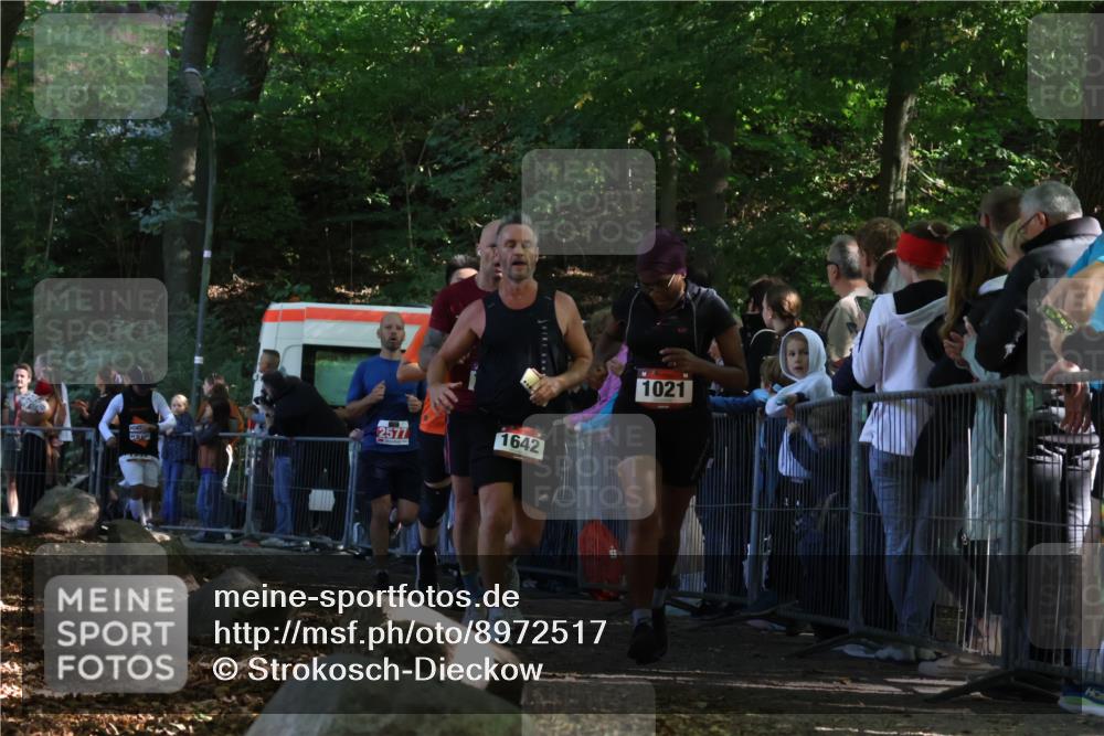 28.09.2025 - 33. Volkslauf durch das schöne Alstertal Strokosch-Dieckow http://msf.ph/oto/8972517 28.09.2025 11:59:52 Ziel 1021, 1532, 1613, 1642, 1726, 2577 meine-sportfotos.de