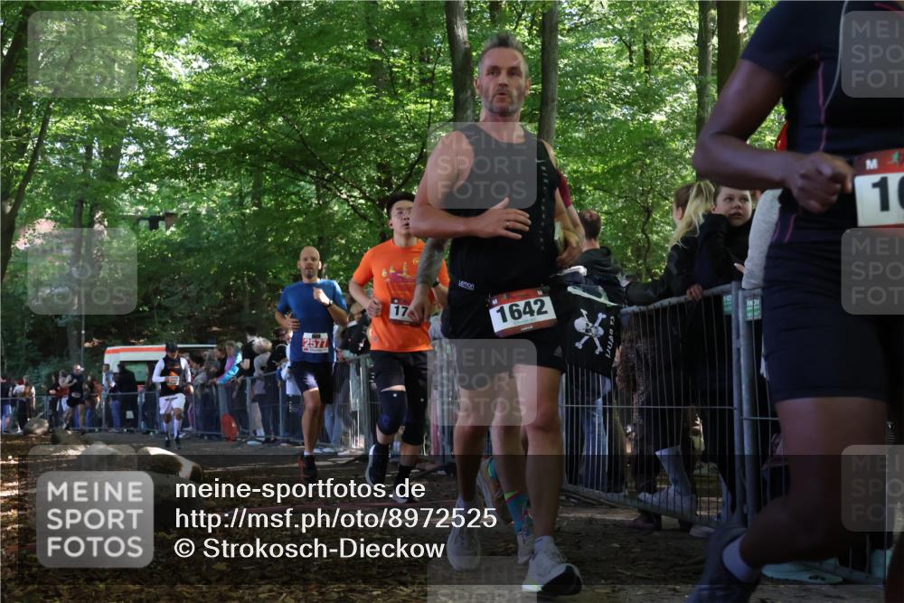 28.09.2025 - 33. Volkslauf durch das schöne Alstertal Strokosch-Dieckow http://msf.ph/oto/8972525 28.09.2025 11:59:56 Ziel 1532, 1613, 1642, 1726, 1828, 2577 meine-sportfotos.de