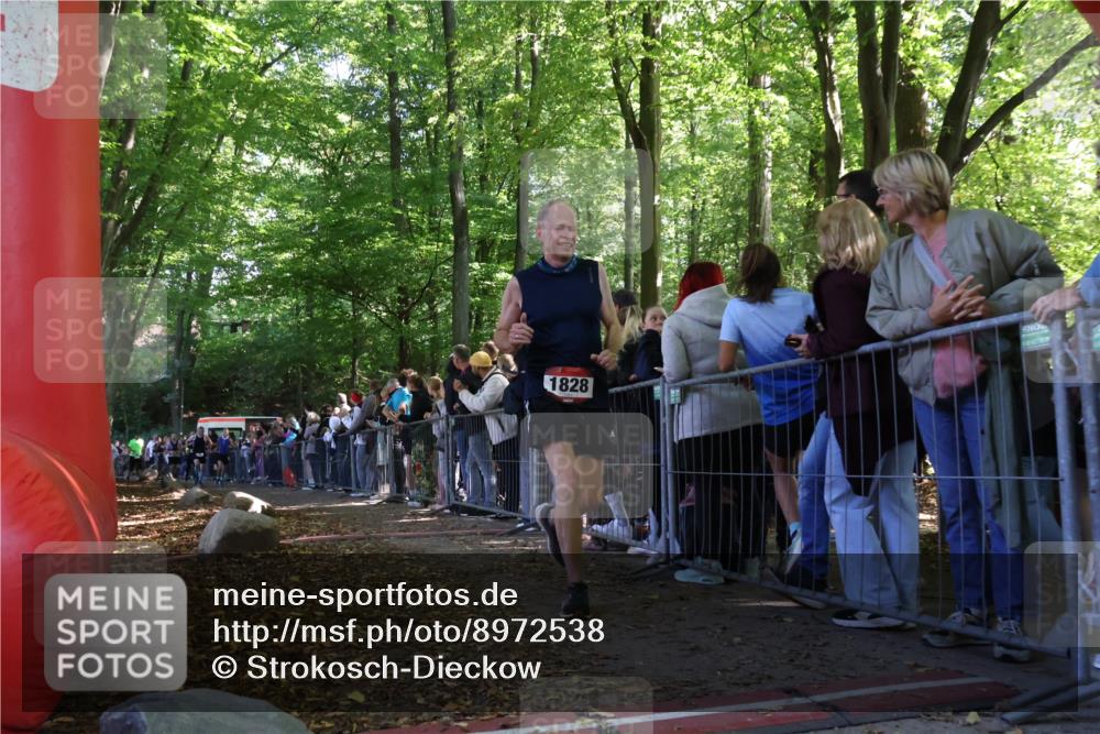 28.09.2025 - 33. Volkslauf durch das schöne Alstertal Strokosch-Dieckow http://msf.ph/oto/8972538 28.09.2025 12:00:05 Ziel 1029, 1646, 1651, 1661, 1828 meine-sportfotos.de
