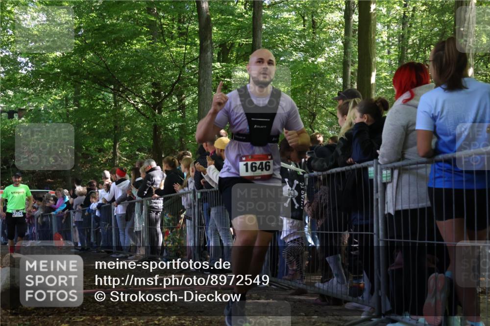 28.09.2025 - 33. Volkslauf durch das schöne Alstertal Strokosch-Dieckow http://msf.ph/oto/8972549 28.09.2025 12:00:14 Ziel 1646, 3354 meine-sportfotos.de