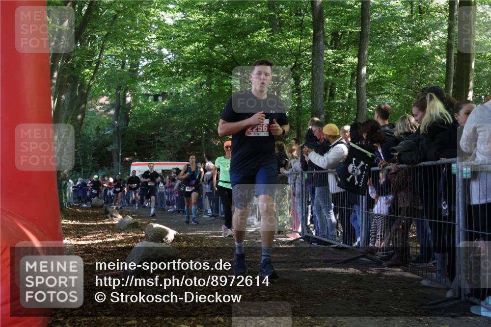 28.09.2025 - 33. Volkslauf durch das schöne Alstertal Strokosch-Dieckow http://msf.ph/oto/8972614 28.09.2025 12:01:56 Ziel 1028, 1035, 1084, 1672, 2256, 2612 meine-sportfotos.de