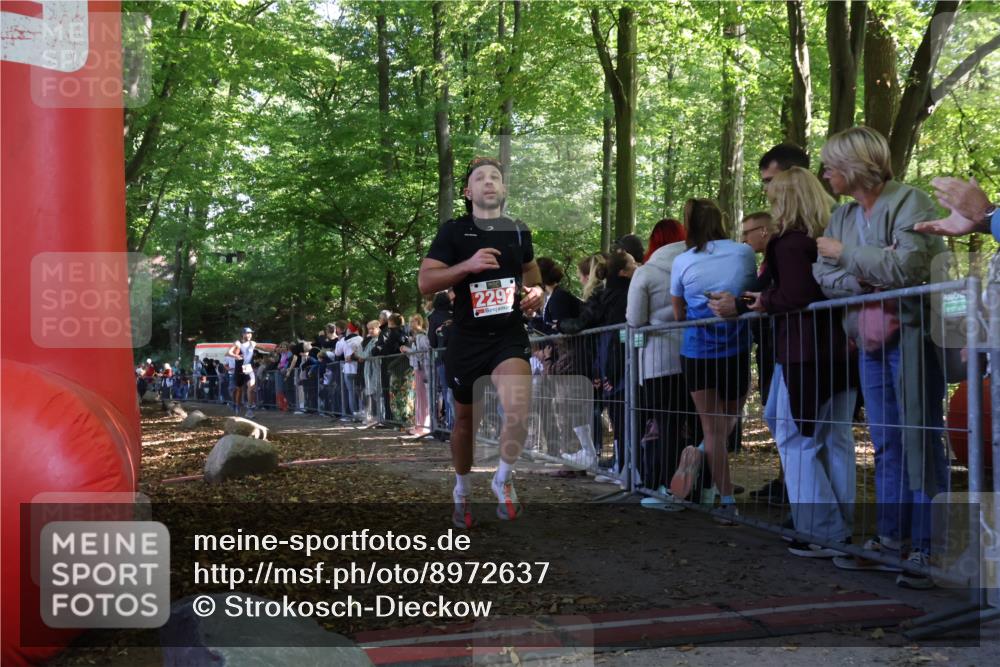 28.09.2025 - 33. Volkslauf durch das schöne Alstertal Strokosch-Dieckow http://msf.ph/oto/8972637 28.09.2025 12:02:32 Ziel 1804, 2213, 2292 meine-sportfotos.de