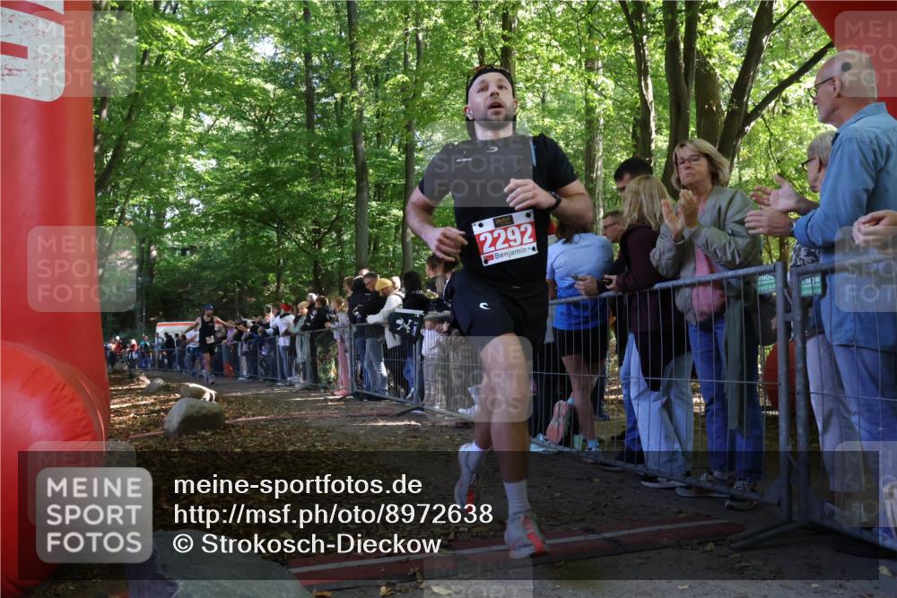28.09.2025 - 33. Volkslauf durch das schöne Alstertal Strokosch-Dieckow http://msf.ph/oto/8972638 28.09.2025 12:02:32 Ziel 1804, 2213, 2292 meine-sportfotos.de