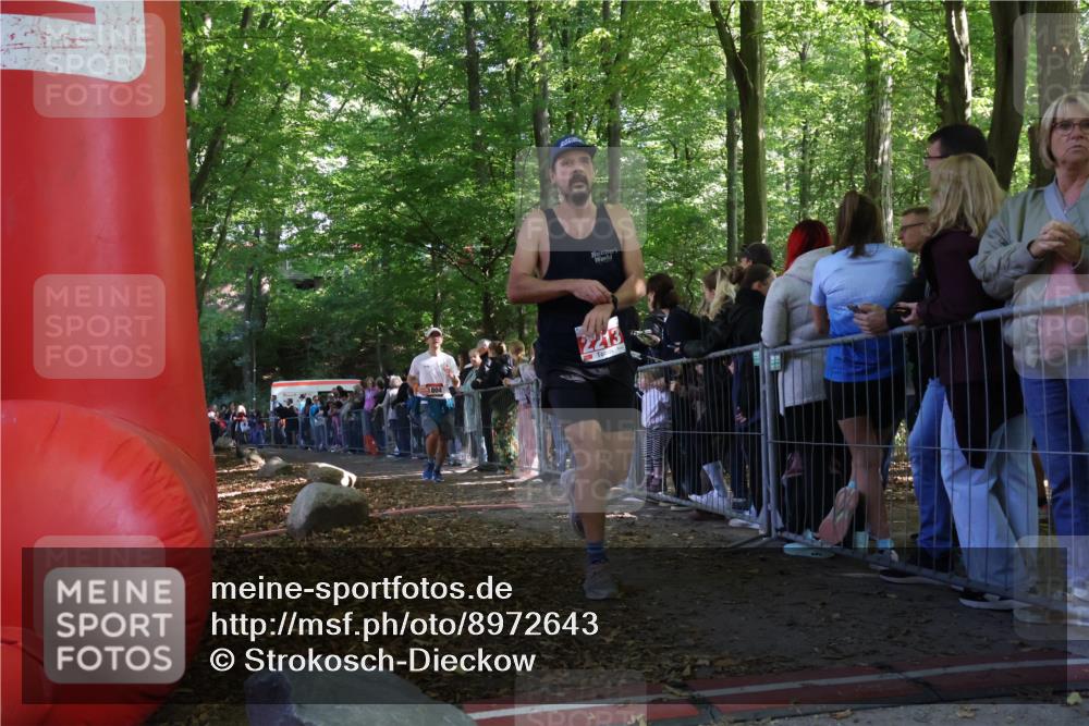 28.09.2025 - 33. Volkslauf durch das schöne Alstertal Strokosch-Dieckow http://msf.ph/oto/8972643 28.09.2025 12:02:37 Ziel 1804, 2213 meine-sportfotos.de