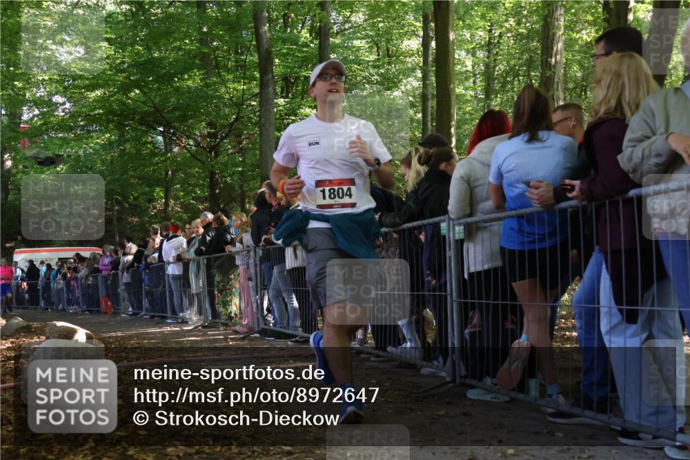 28.09.2025 - 33. Volkslauf durch das schöne Alstertal Strokosch-Dieckow http://msf.ph/oto/8972647 28.09.2025 12:02:39 Ziel 1673, 1804 meine-sportfotos.de