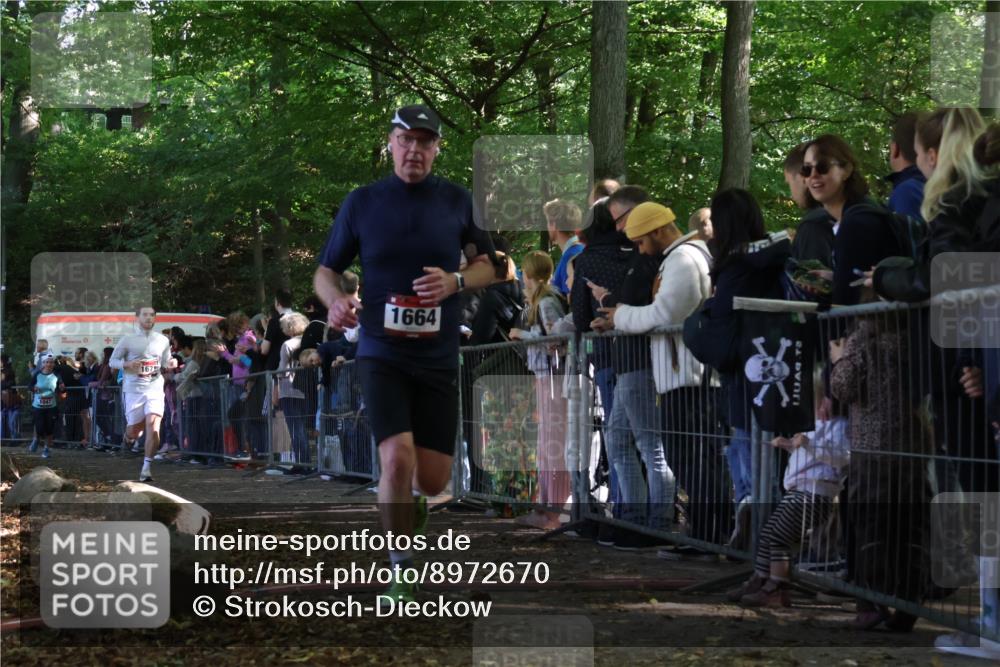 28.09.2025 - 33. Volkslauf durch das schöne Alstertal Strokosch-Dieckow http://msf.ph/oto/8972670 28.09.2025 12:03:08 Ziel 1047, 1664, 1671, 2534 meine-sportfotos.de
