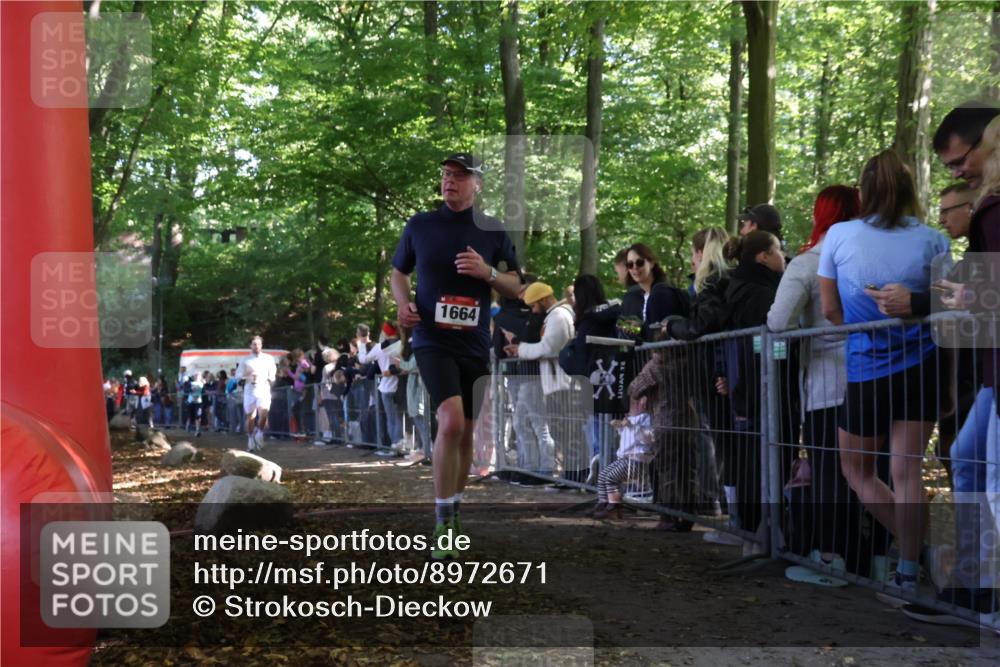 28.09.2025 - 33. Volkslauf durch das schöne Alstertal Strokosch-Dieckow http://msf.ph/oto/8972671 28.09.2025 12:03:09 Ziel 1047, 1664, 1671, 2534 meine-sportfotos.de