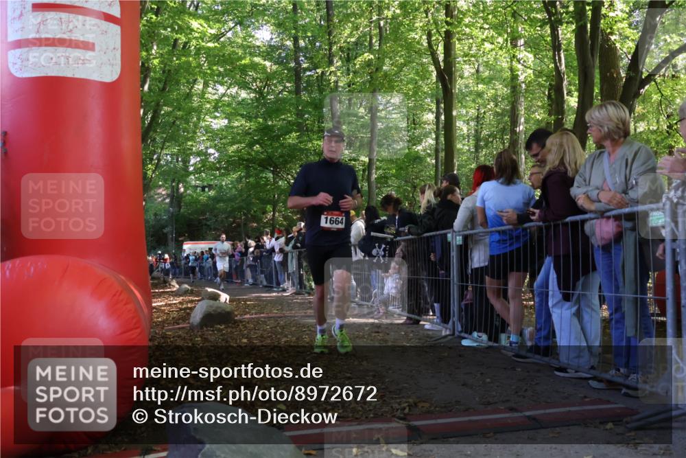 28.09.2025 - 33. Volkslauf durch das schöne Alstertal Strokosch-Dieckow http://msf.ph/oto/8972672 28.09.2025 12:03:09 Ziel 1047, 1664, 1671, 2534 meine-sportfotos.de