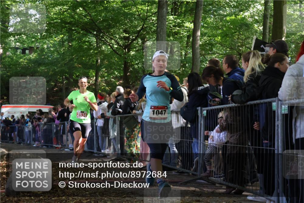28.09.2025 - 33. Volkslauf durch das schöne Alstertal Strokosch-Dieckow http://msf.ph/oto/8972684 28.09.2025 12:03:16 Ziel 1047, 1060, 2149, 2276, 2534 meine-sportfotos.de