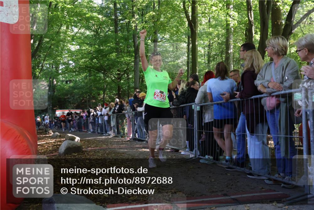 28.09.2025 - 33. Volkslauf durch das schöne Alstertal Strokosch-Dieckow http://msf.ph/oto/8972688 28.09.2025 12:03:18 Ziel 1032, 1060, 2149, 2276, 2534 meine-sportfotos.de