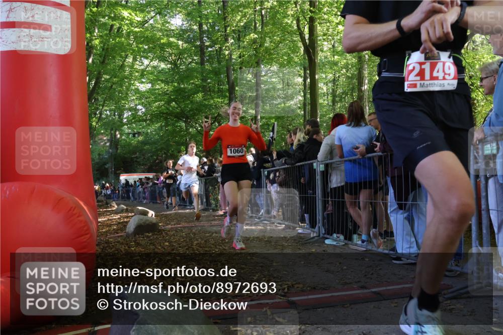 28.09.2025 - 33. Volkslauf durch das schöne Alstertal Strokosch-Dieckow http://msf.ph/oto/8972693 28.09.2025 12:03:23 Ziel 1032, 1060, 2149, 2276 meine-sportfotos.de