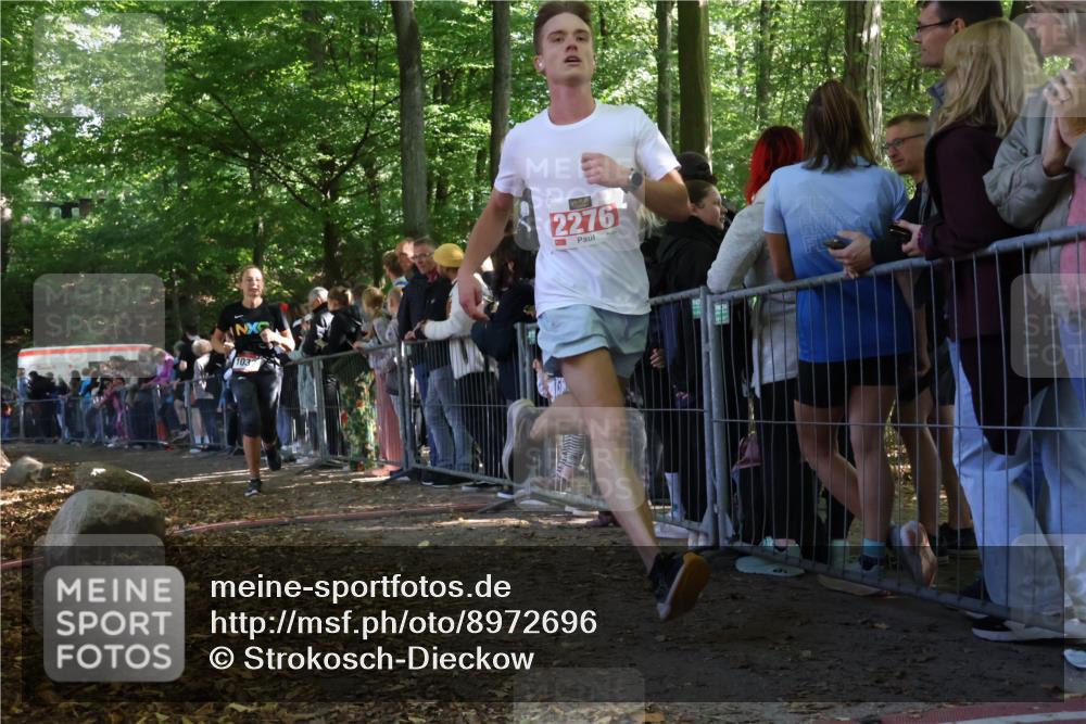 28.09.2025 - 33. Volkslauf durch das schöne Alstertal Strokosch-Dieckow http://msf.ph/oto/8972696 28.09.2025 12:03:24 Ziel 1032, 1060, 2276 meine-sportfotos.de