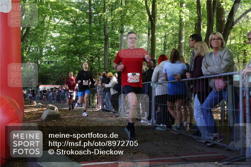 28.09.2025 - 33. Volkslauf durch das schöne Alstertal Strokosch-Dieckow http://msf.ph/oto/8972705 28.09.2025 12:03:42 Ziel 1038, 1712, 2453, 2500, 2605 meine-sportfotos.de