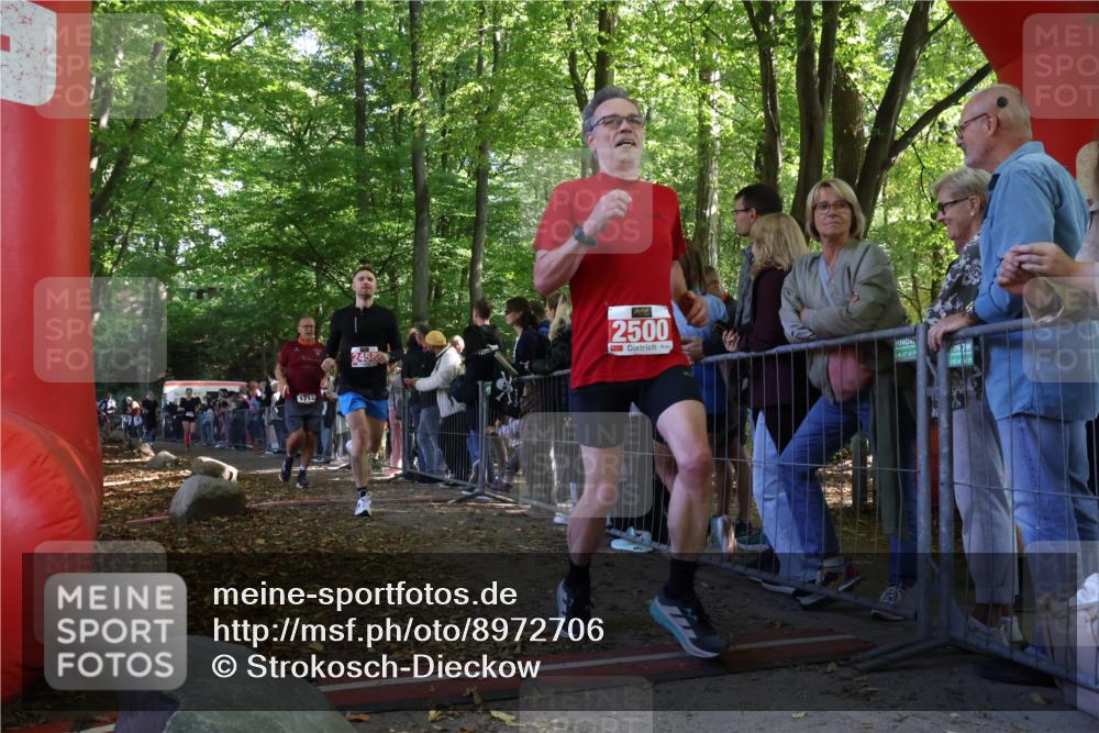 28.09.2025 - 33. Volkslauf durch das schöne Alstertal Strokosch-Dieckow http://msf.ph/oto/8972706 28.09.2025 12:03:43 Ziel 1038, 1681, 1712, 2453, 2500, 2605 meine-sportfotos.de