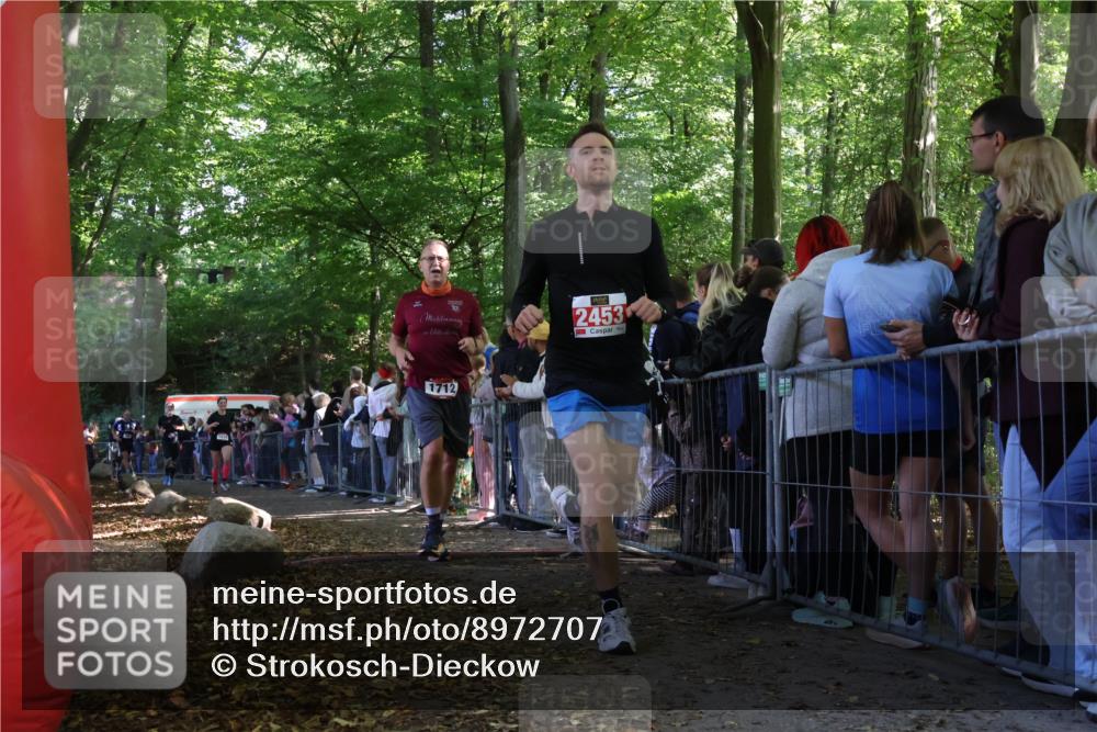 28.09.2025 - 33. Volkslauf durch das schöne Alstertal Strokosch-Dieckow http://msf.ph/oto/8972707 28.09.2025 12:03:43 Ziel 1038, 1681, 1712, 2453, 2500, 2605 meine-sportfotos.de